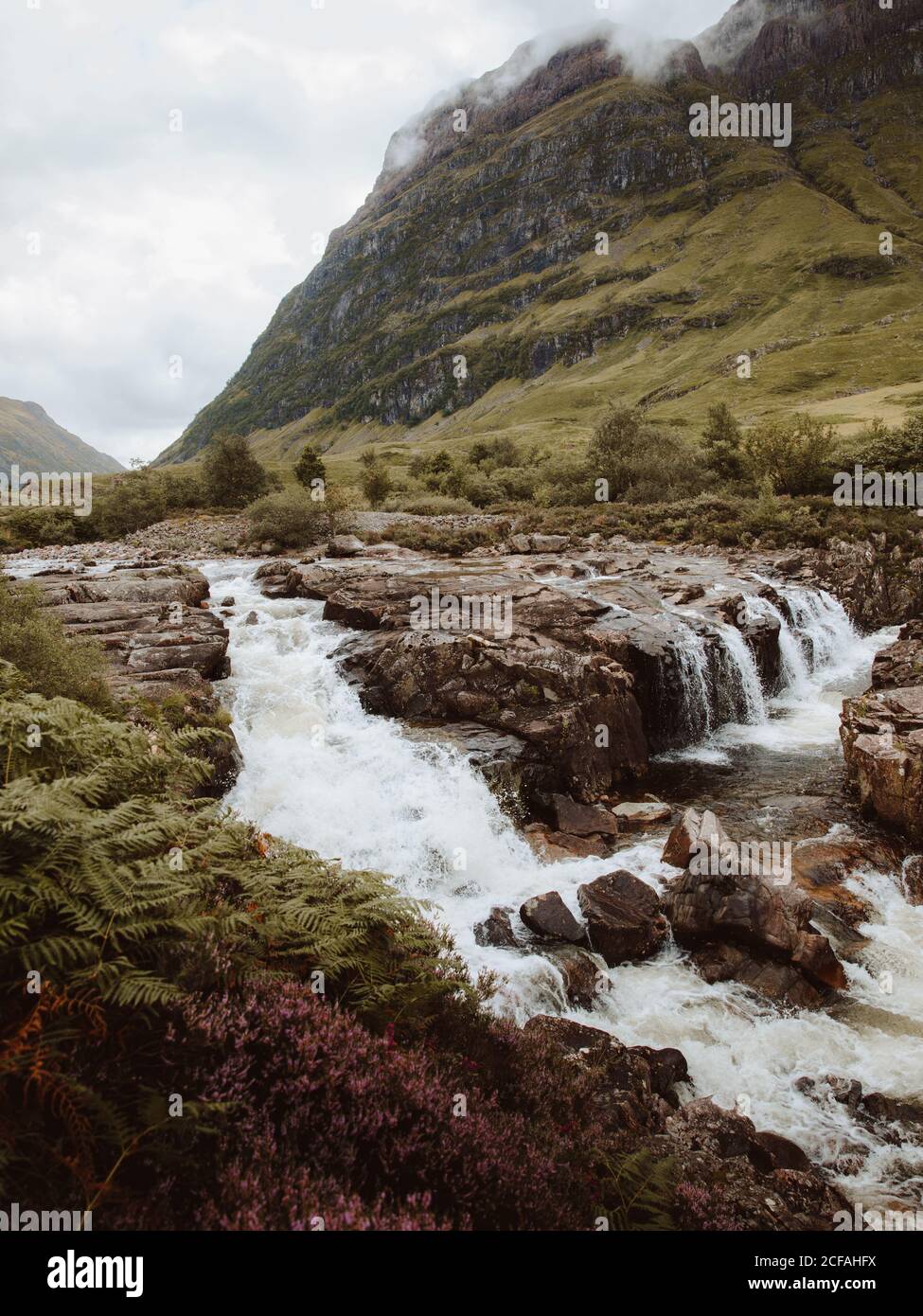 Malerischer Blick auf sprudelndes Wasser mit Felsen und Farnen Bergtal von Glencoe im Sommer Stockfoto