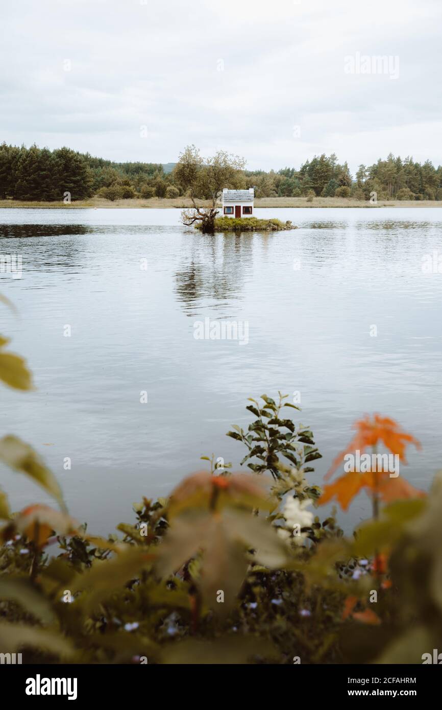 Malerischer Blick auf Teich mit ruhigem Wasser und gemütlichem Weiß Haus für Vögel in der Mitte am Tag Stockfoto