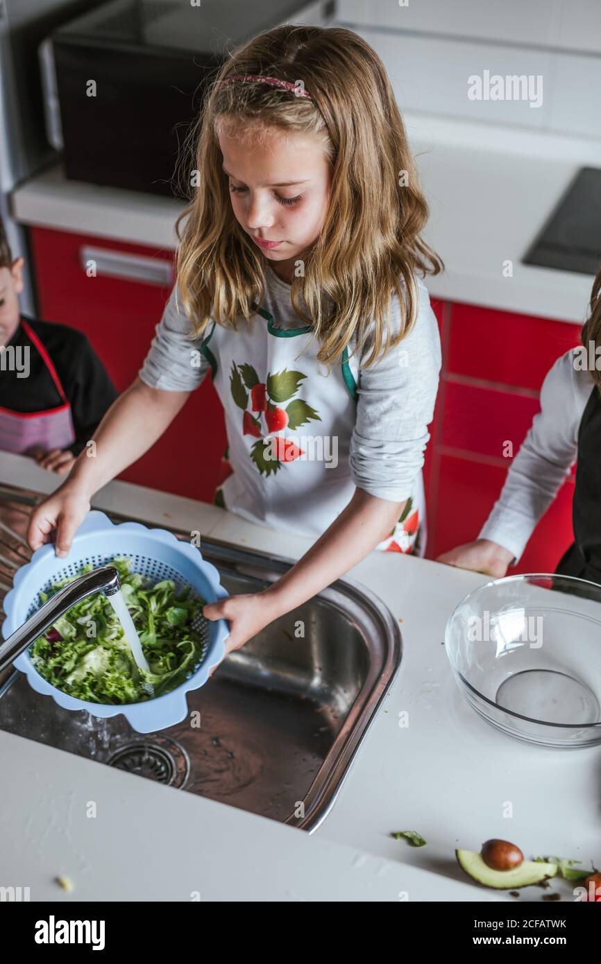 Kleines Mädchen, das frische Kräuter im Sieb unter sauberem Wasser wäscht Beim Salatmachen in der Küche Stockfoto