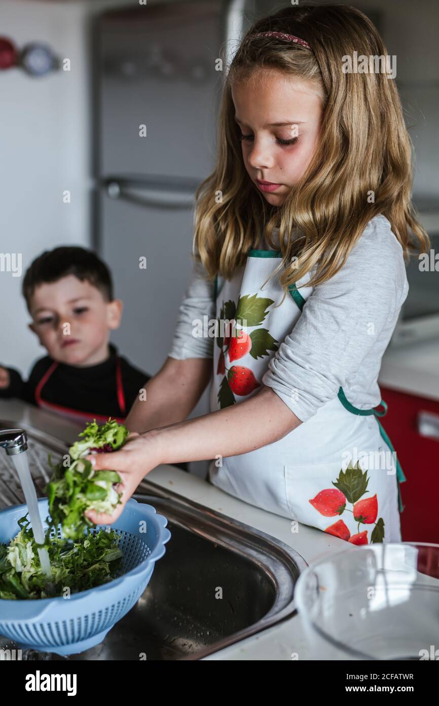 Kleines Mädchen, das frische Kräuter im Sieb unter sauberem Wasser wäscht Beim Salatmachen in der Küche Stockfoto