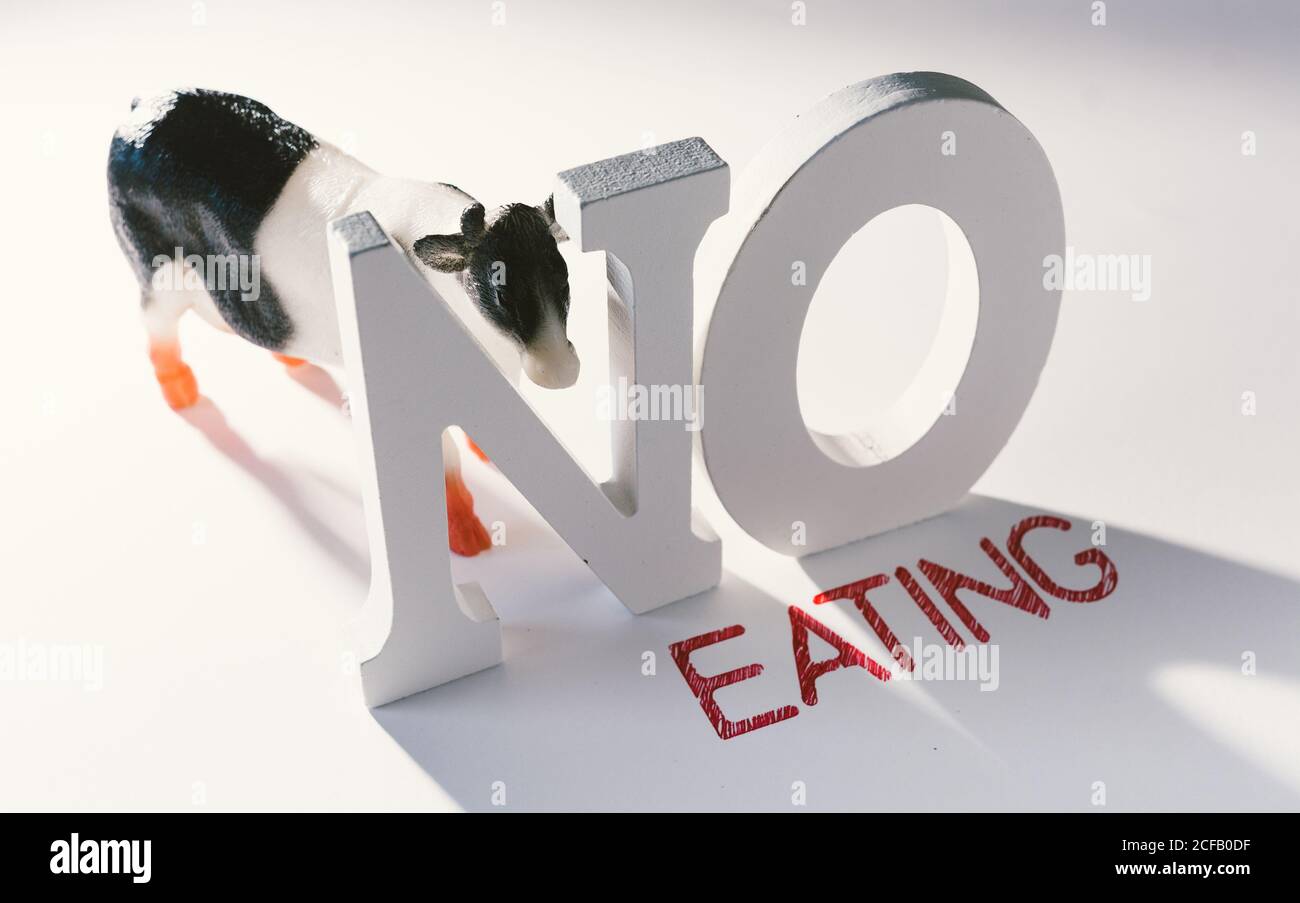 Von oben kleine Plastikfigur der Kuh und der großen Buchstaben Vor weißem Hintergrund mit rotem Slogan No Eating Calling To Hör auf, Tiere zu essen Stockfoto