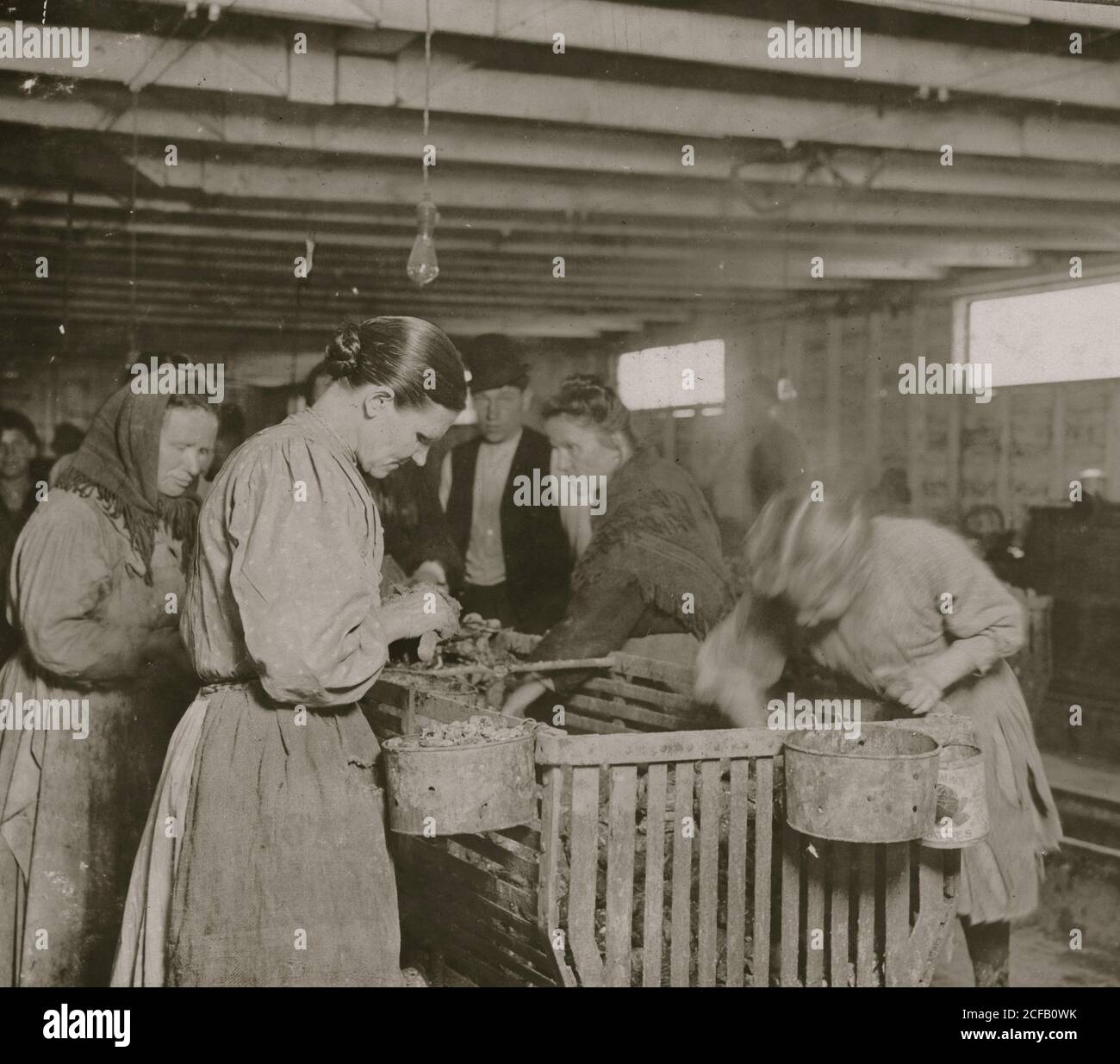 Acht-jährige Lizzie, verdient 30 Cent, was einen Tag dem Entfernen in der Dunbar Cannery Austern. Stockfoto