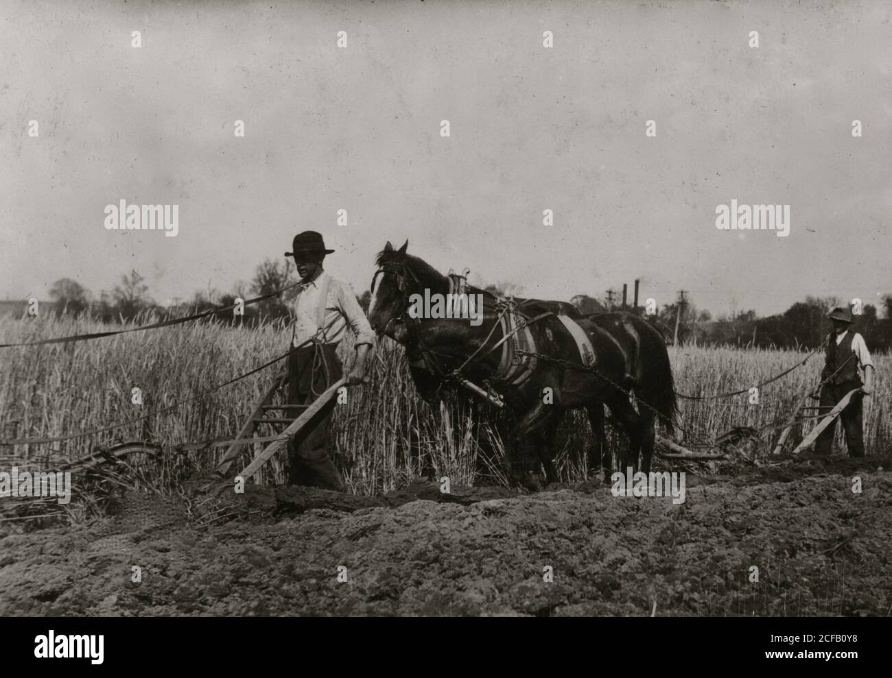 Zwei Bauern hinter Pferde wie sie einen Pflug durch ein Feld ziehen Stockfoto