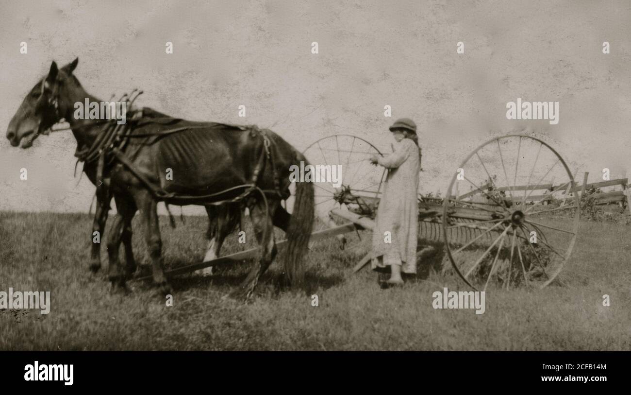 Lucy Saunders zu trampen, das Team zum Pferd rake Stockfoto
