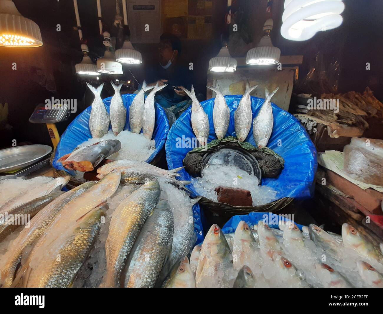 Fisch ist die Hauptquelle von tierischem Protein für die Menschen in Bangladesch. Fischverkäufer verkaufen Fischfang aus frischem und Brackwasser. Stockfoto