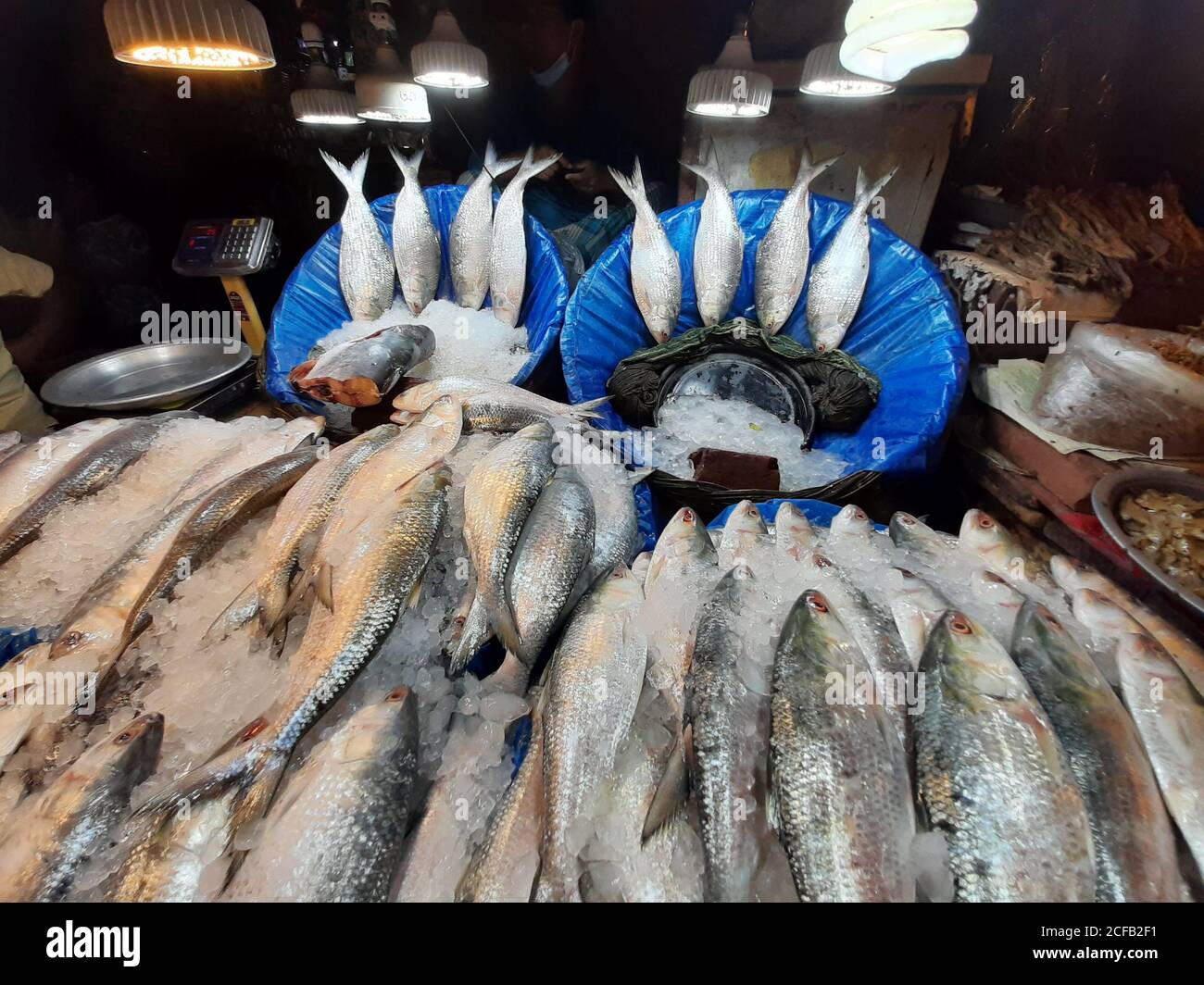 Fisch ist die Hauptquelle von tierischem Protein für die Menschen in Bangladesch. Fischverkäufer verkaufen Fischfang aus frischem und Brackwasser. Stockfoto