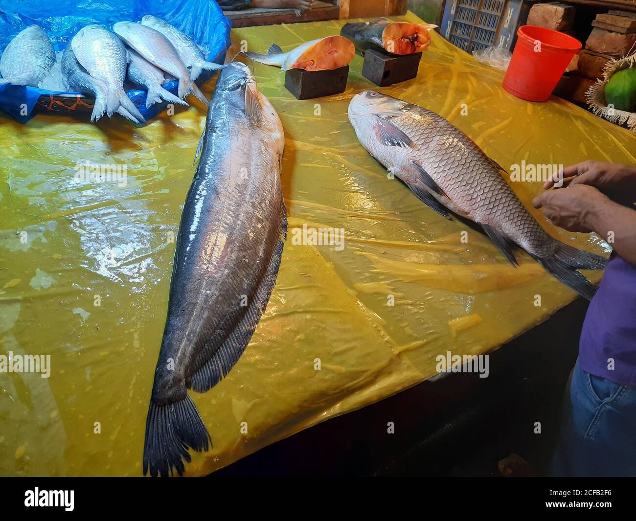 Fisch ist die Hauptquelle von tierischem Protein für die Menschen in Bangladesch. Fischverkäufer verkaufen Fischfang aus frischem und Brackwasser. Stockfoto