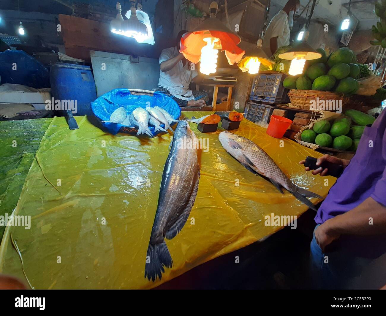Fisch ist die Hauptquelle von tierischem Protein für die Menschen in Bangladesch. Fischverkäufer verkaufen Fischfang aus frischem und Brackwasser. Stockfoto