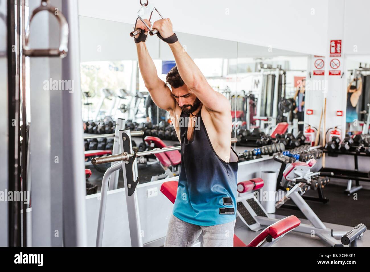 Kraftvoller entschlossener Sportler, der mit Langhantel an der Hocke trainiert Beim Gewichtheben mit Personal Coach im modernen Fitnessstudio Stockfoto