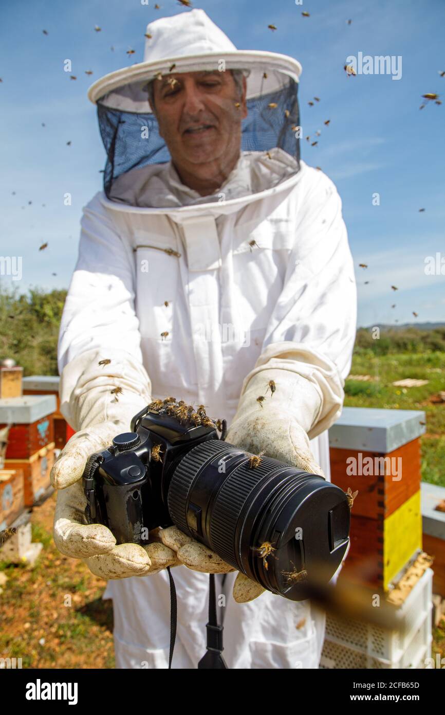 Von unten Imker in Schutzkleidung und Handschuhe halten Professionelle Fotokamera von Bienenstock im Bienenhaus Stockfoto