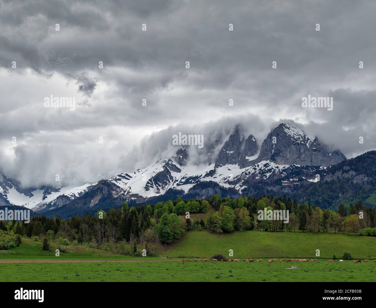 Sperten, St. Johann in Tirol, Bezirk Kitzbühel, Tirol, Österreich, Kaisergebirge, Nordtiroler Kalkalpen, Kitzbüheler Alpen, Ostalpen, Alpen Stockfoto