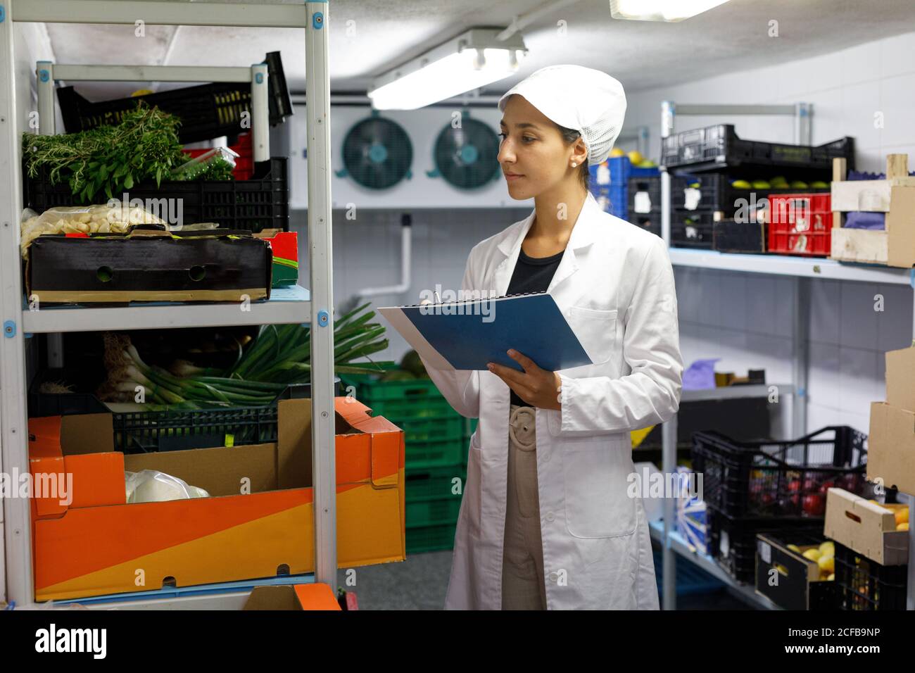 Sanitärinspektor, Überprüfung des Gefrierschranks im Restaurant Stockfoto