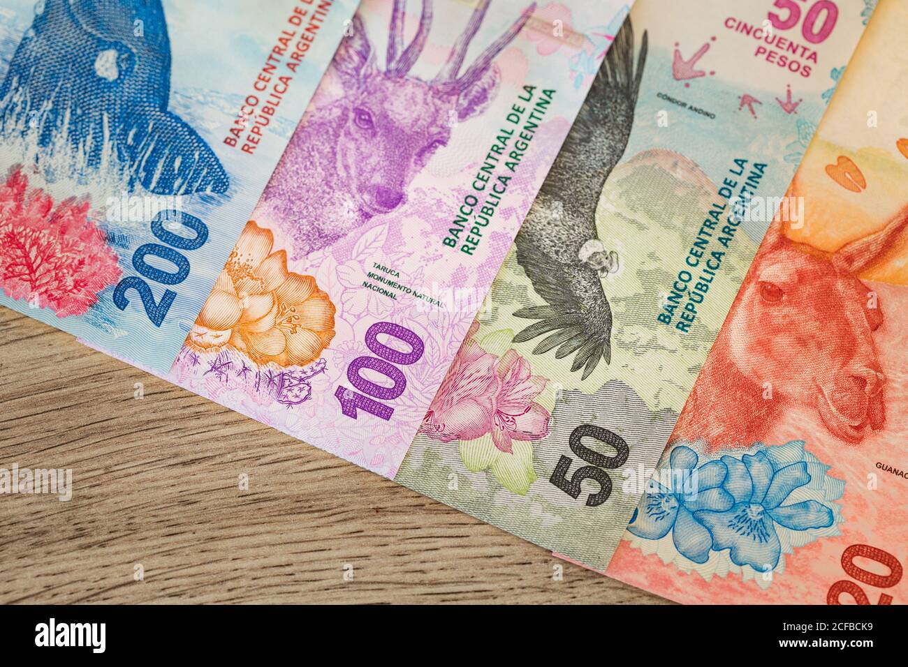 Banknote argentina money currency -Fotos und -Bildmaterial in hoher ...