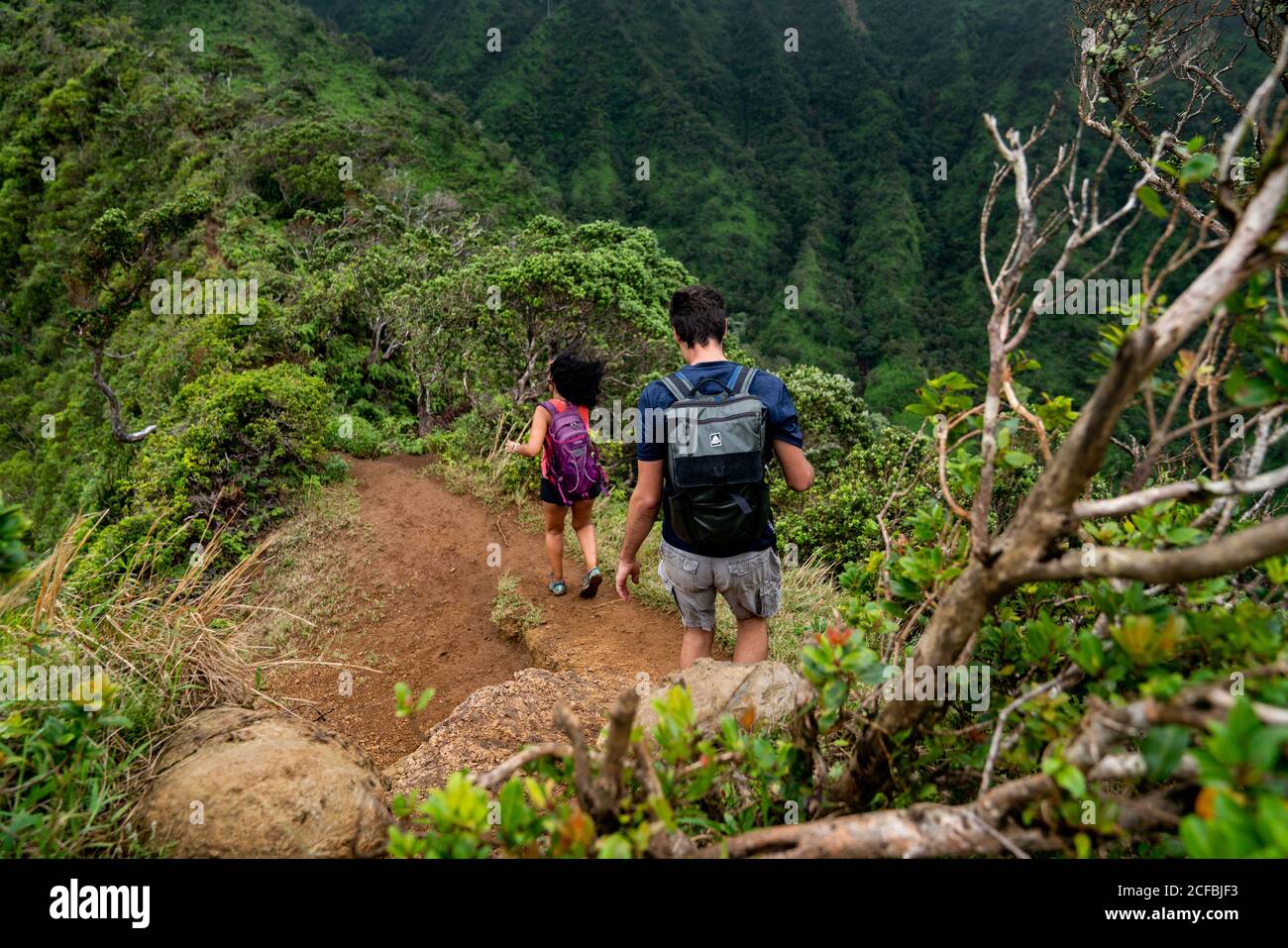 Zwei Erwachsene wandern auf einer Bergkette in Oahu, Hawaii Stockfoto