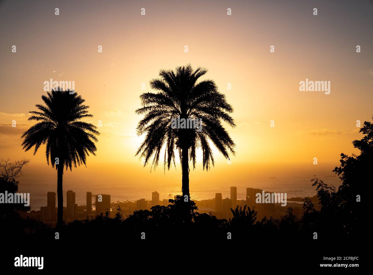 Sonnenuntergang und Palmen mit Blick auf Honolulu, Hawaii Stockfoto