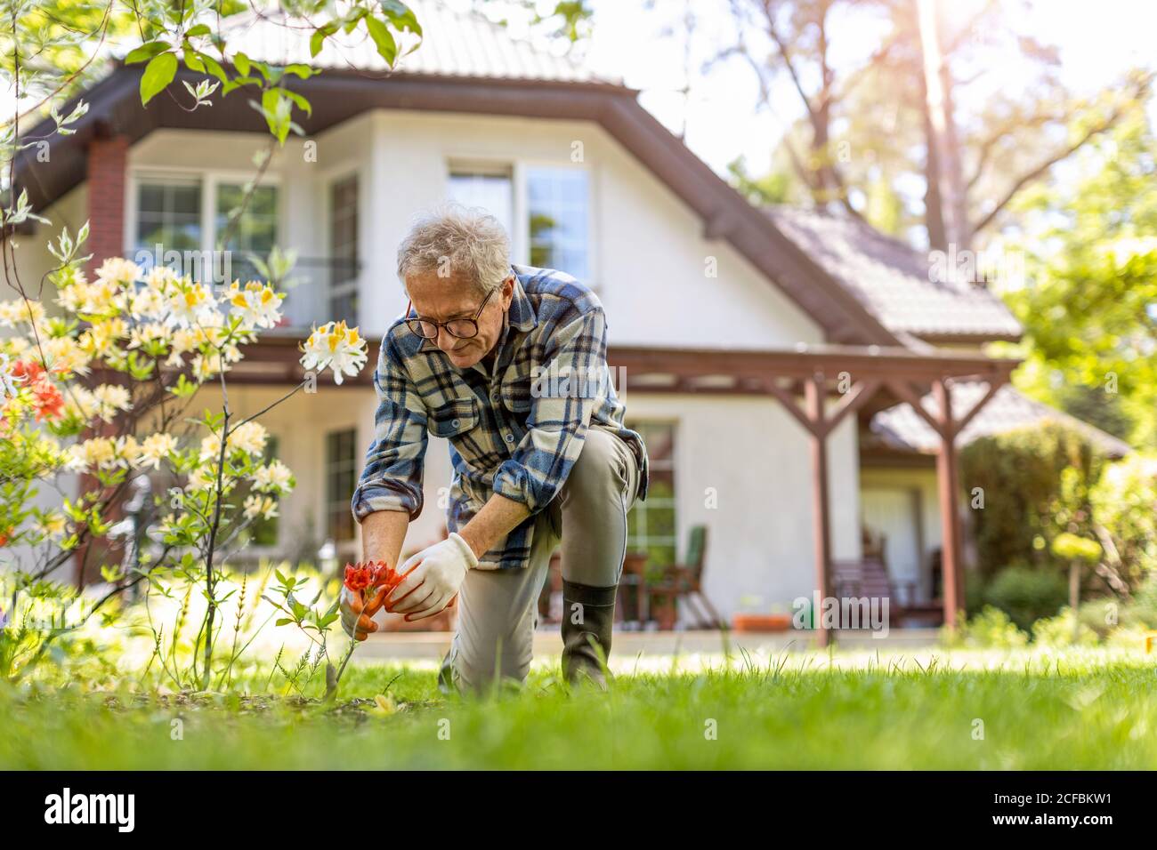 Reifer Mann, der im Garten arbeitet Stockfoto