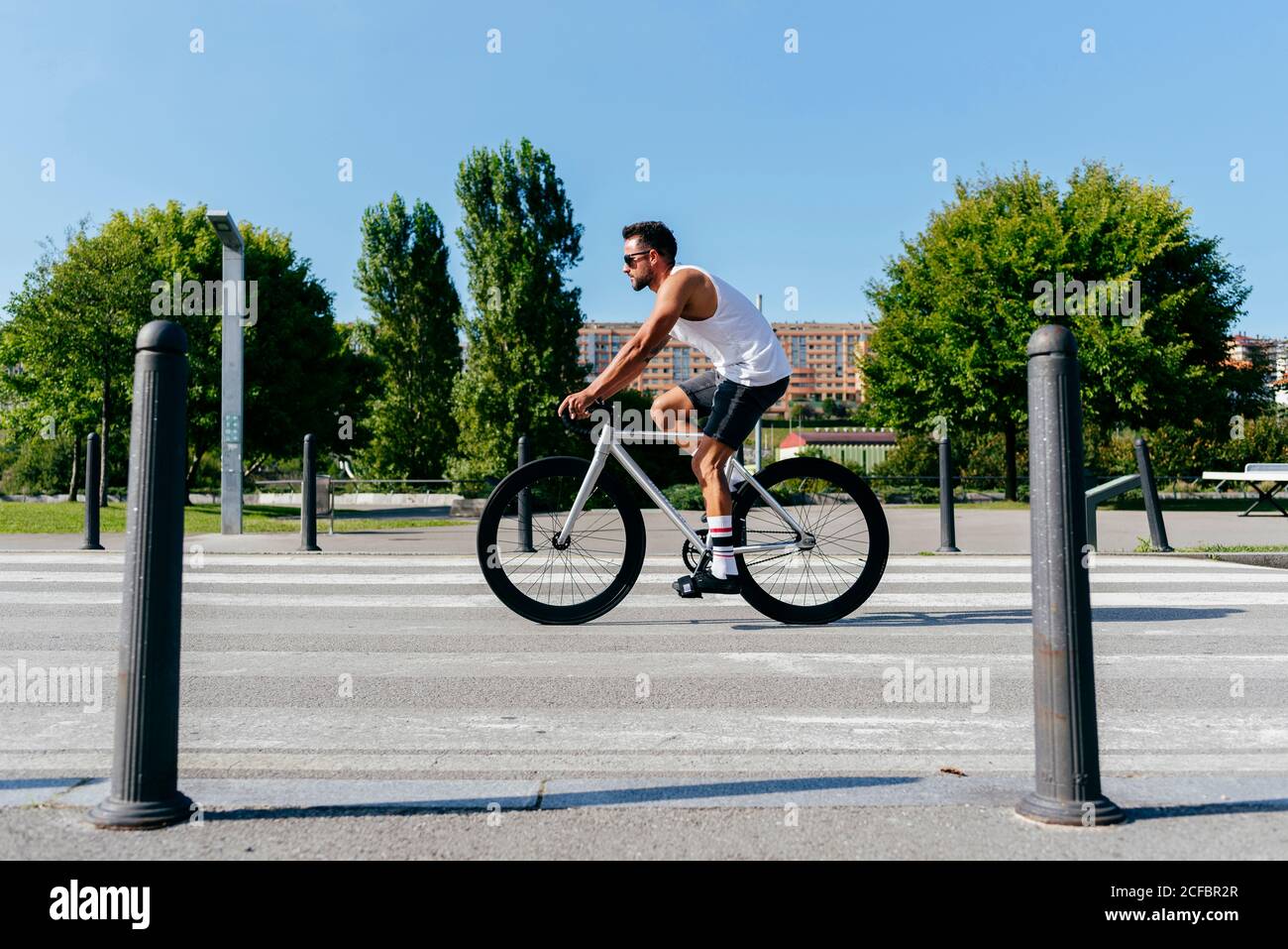 Seitenansicht des athletischen Mannes in einer Sonnenbrille mit weißem Hemd Und schwarze Shorts Fahrrad fahren auf der Stadtstraße mit grün Bäume am Straßenrand am Sommertag mit blauem Himmel Stockfoto