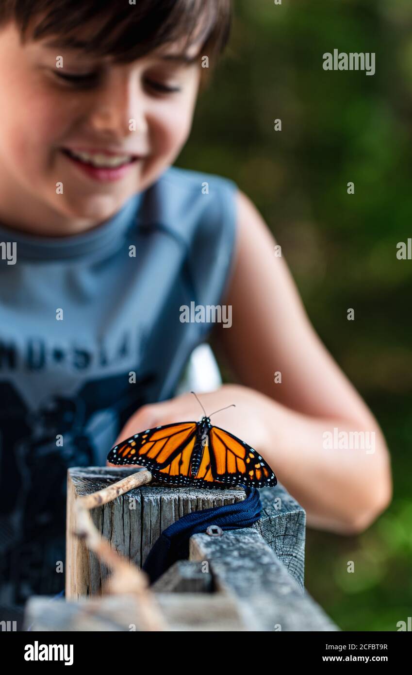 Kleiner Junge, der einen Monarchschmetterling ansieht, der auf einem Deckgeländer ruht. Stockfoto