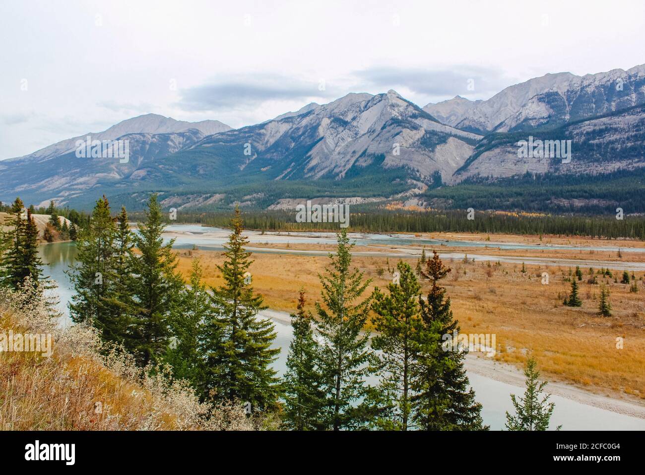 Flussbett im Jasper National Park in Kanada mit Nadelbäumen Wald und Gebirge Stockfoto