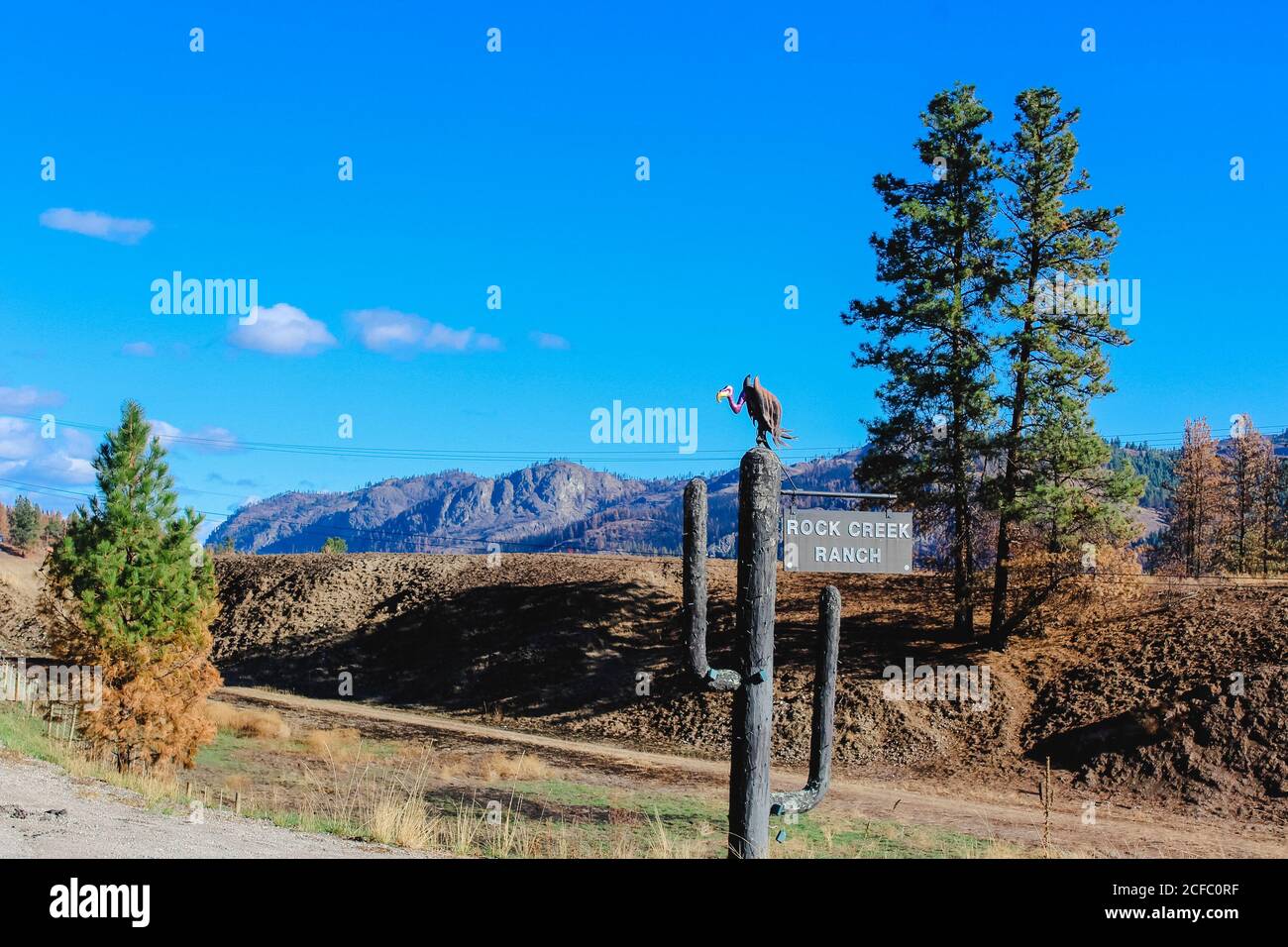 Rock Creek Ranch in Grand Forks BC Kanada, Geier Stockfoto