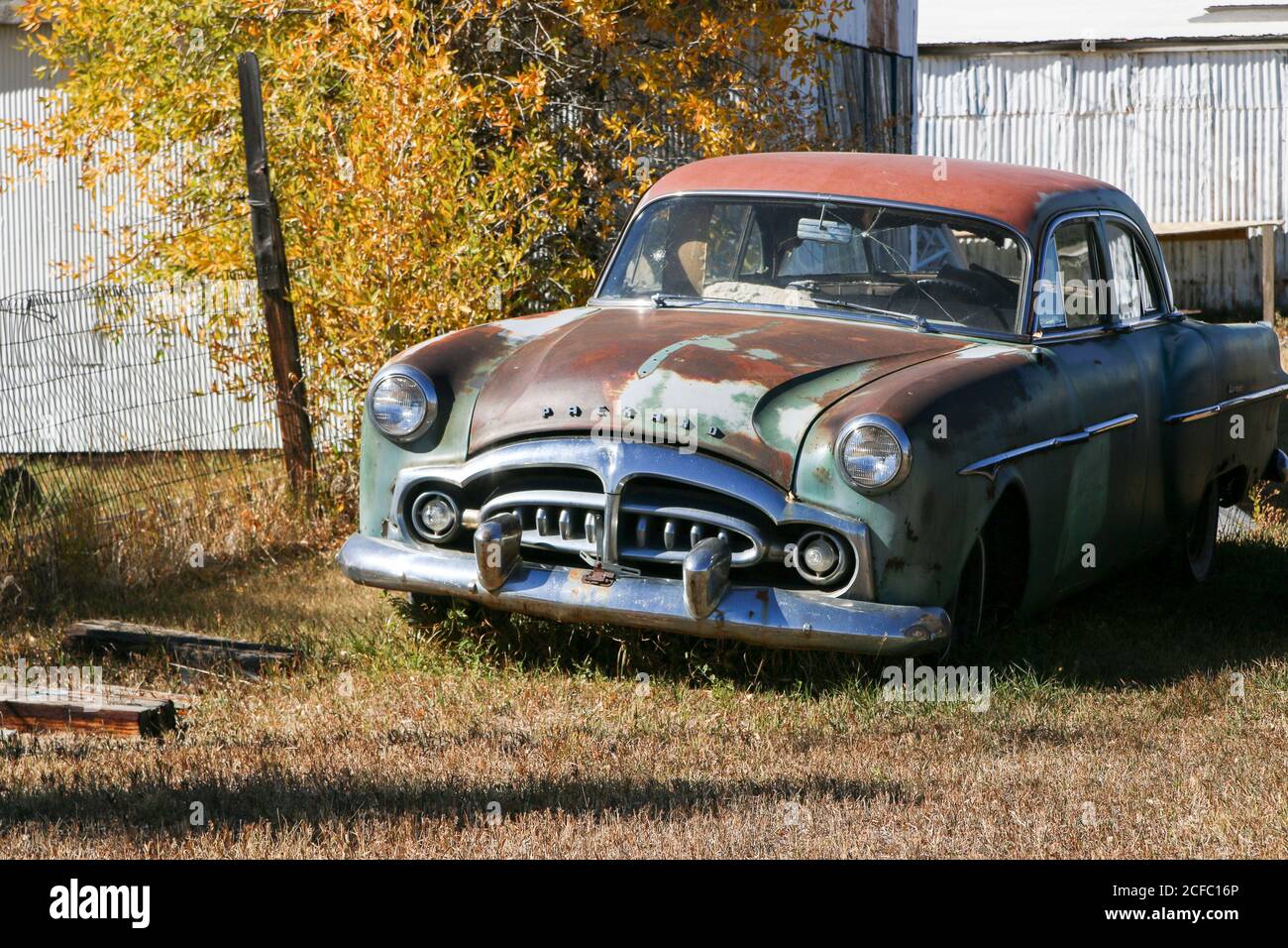 Autowracks Hot Rods in den USA verrostet Straßenrand Buick Packard Stockfoto