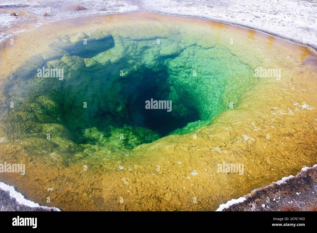 Morning Glory Pool im Yellowstone National Park, USA Stockfoto