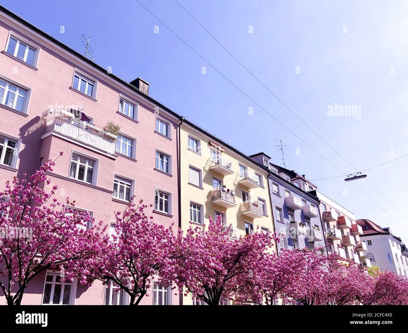 Frühling in München Schwabing [M] Stockfoto