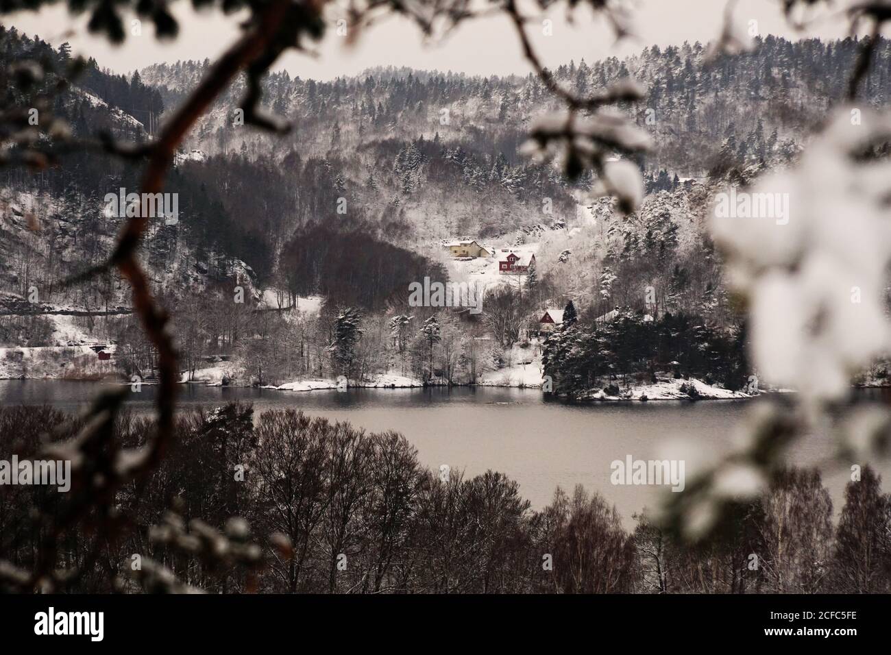 Ländliche malerische hügelige Tal mit Schnee bedeckt Bäume und Ufer Des Sees im trüben Tag in Norwegen Stockfoto