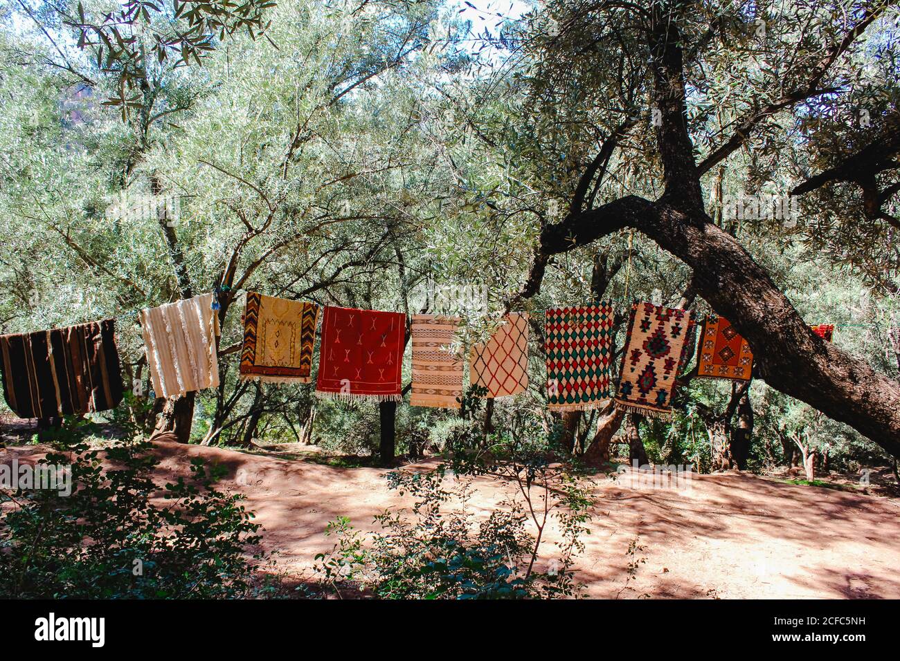 Berber Teppiche im Wald in Ouzoud auf Wäscheleine Stockfoto
