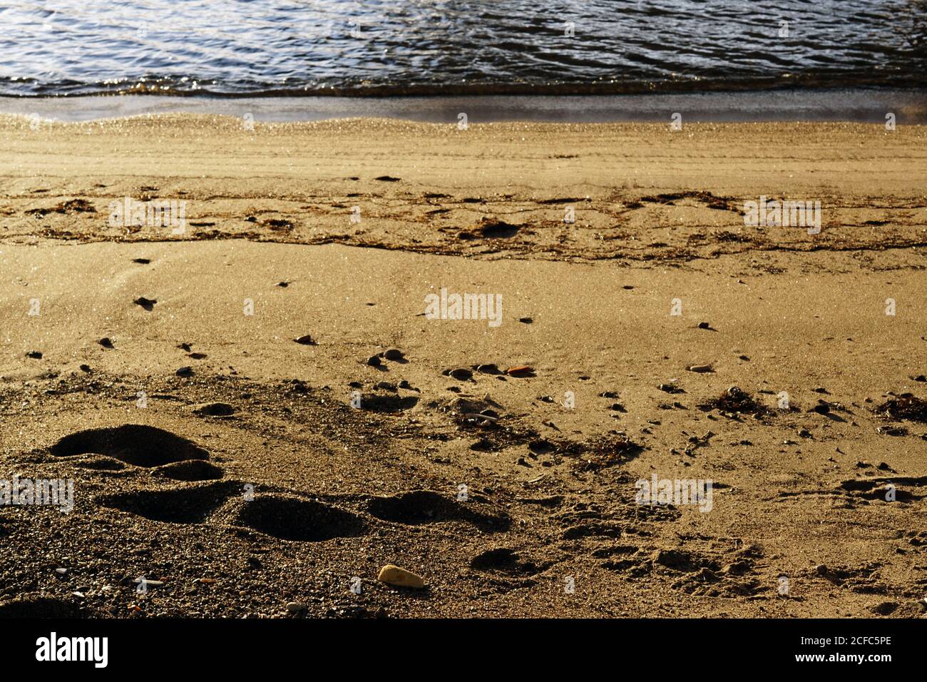 Steine auf nassem Sandstrand an sonnigen Tag in gelegt Natur Stockfoto