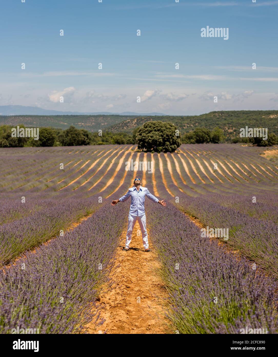 Aufgeregt Mann stehend mit ausgestreckten Händen auf dem Weg zwischen den Reihen Von blühendem Lavendel und Blick auf sonnigen Tag Stockfoto
