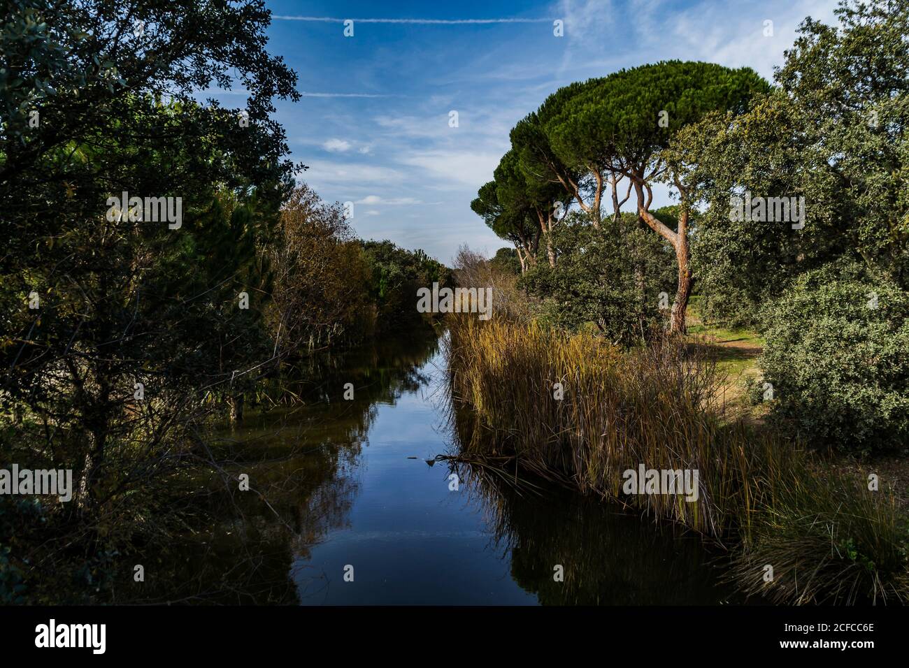 Schiffbarer Kanal in der Dehesa de Navalcarbón, Las Rozas de Madrid, Madrid, Spanien. Alter Kanal, der zur großen Struktur des Gasco-Staudamms gehört. Stockfoto