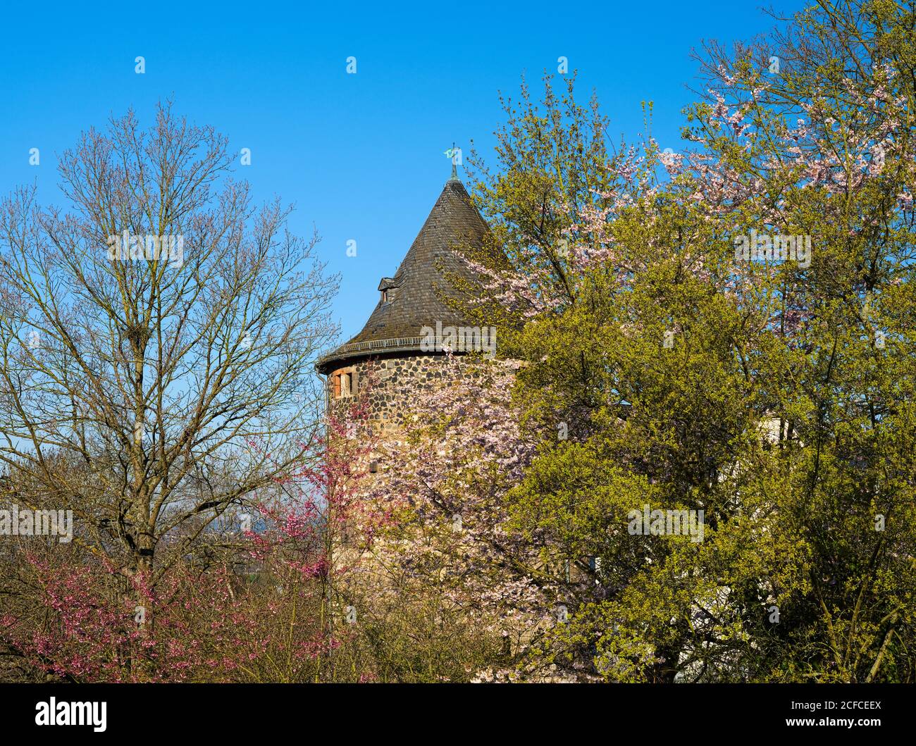 Europa, Deutschland, Hessen, Lahn-Dill-Kreis, Lahn-Dill-Bergland, Wetzlar, Säuturm an der alten Stadtmauer bei Avignon-Anlage Stockfoto