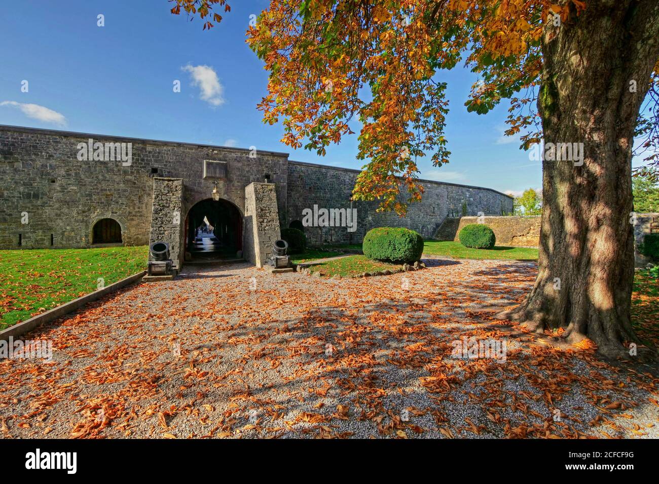 Zitadelle, Dinant, Provinz Namur, Wallonien, Belgien Stockfoto