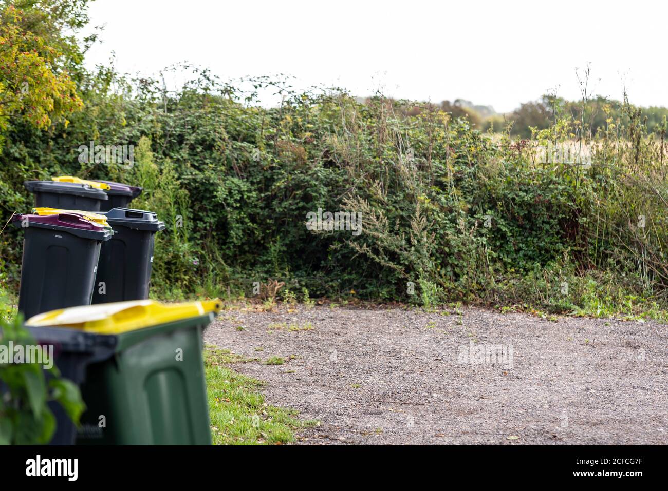 Abfalleimer in ländlicher Umgebung. Wheelie Behälter in Land auf rat Sammlung runden im Land. Tolles Wakering, in der Nähe von Southend on Sea, Essex Stockfoto