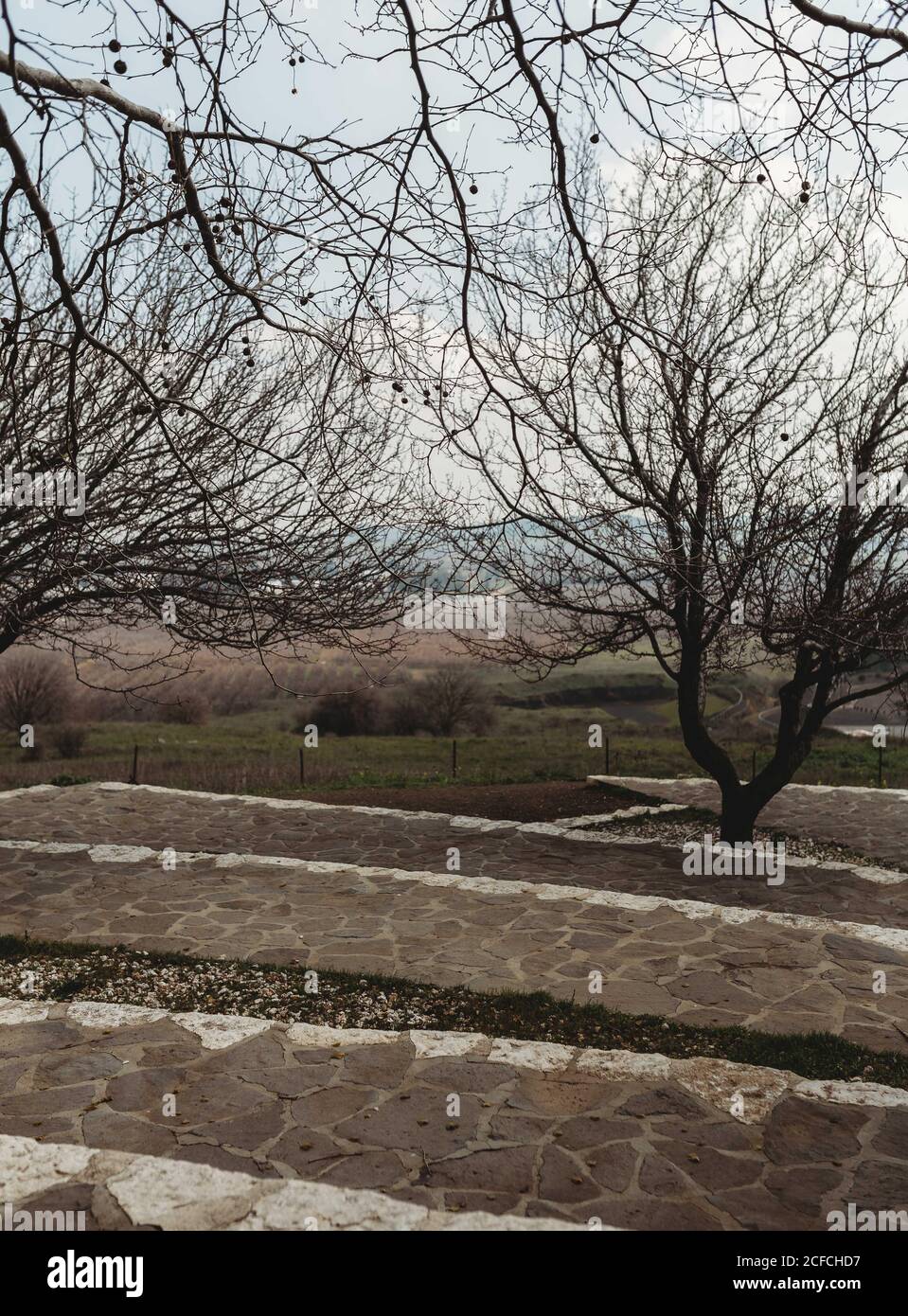 Dünne schwarze Bäume mit blattlosen Ästen, die in der Nähe von Pflaster wachsen parken Sie an einem ruhigen Herbsttag Stockfoto