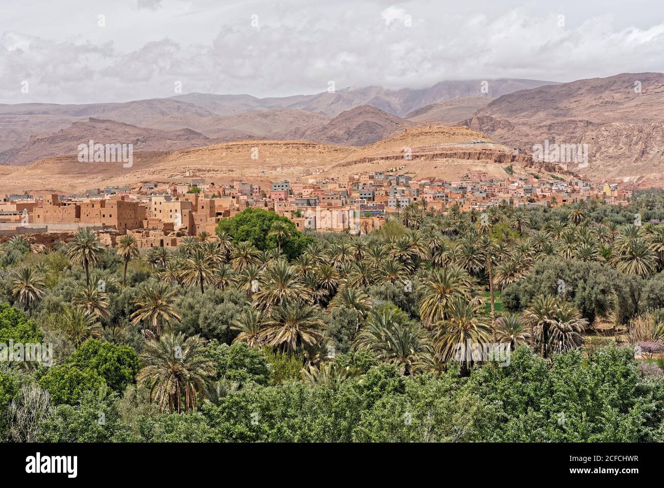 Landwirtschaft, Wüste, Marokko, Dorf in der Nähe der Schluchten des Vaters Stockfoto