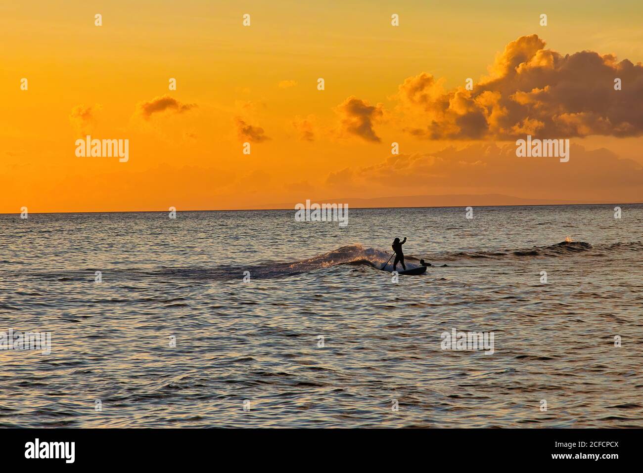 Silhouetted Stand-up Paddlebarder reiten eine Welle bei Sonnenuntergang im Hafen von Lahaina bei Sonnenuntergang. Stockfoto