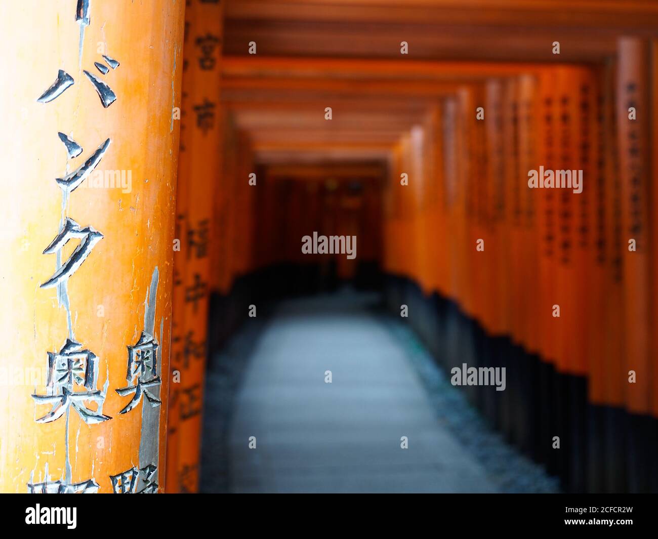 Durchgang durch traditionellen roten Torii-Tortunnel mit Hieroglyphen-Inschriften Auf Säulen im japanischen Schrein Stockfoto