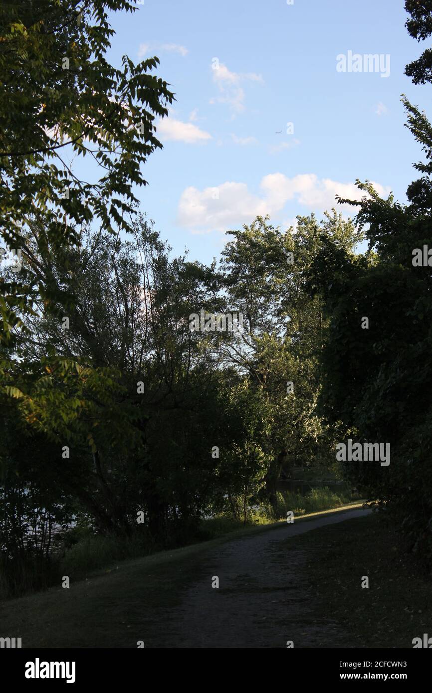 Wandern entlang des Flusses tief in der sonnigen Sommerwildnis. Stockfoto