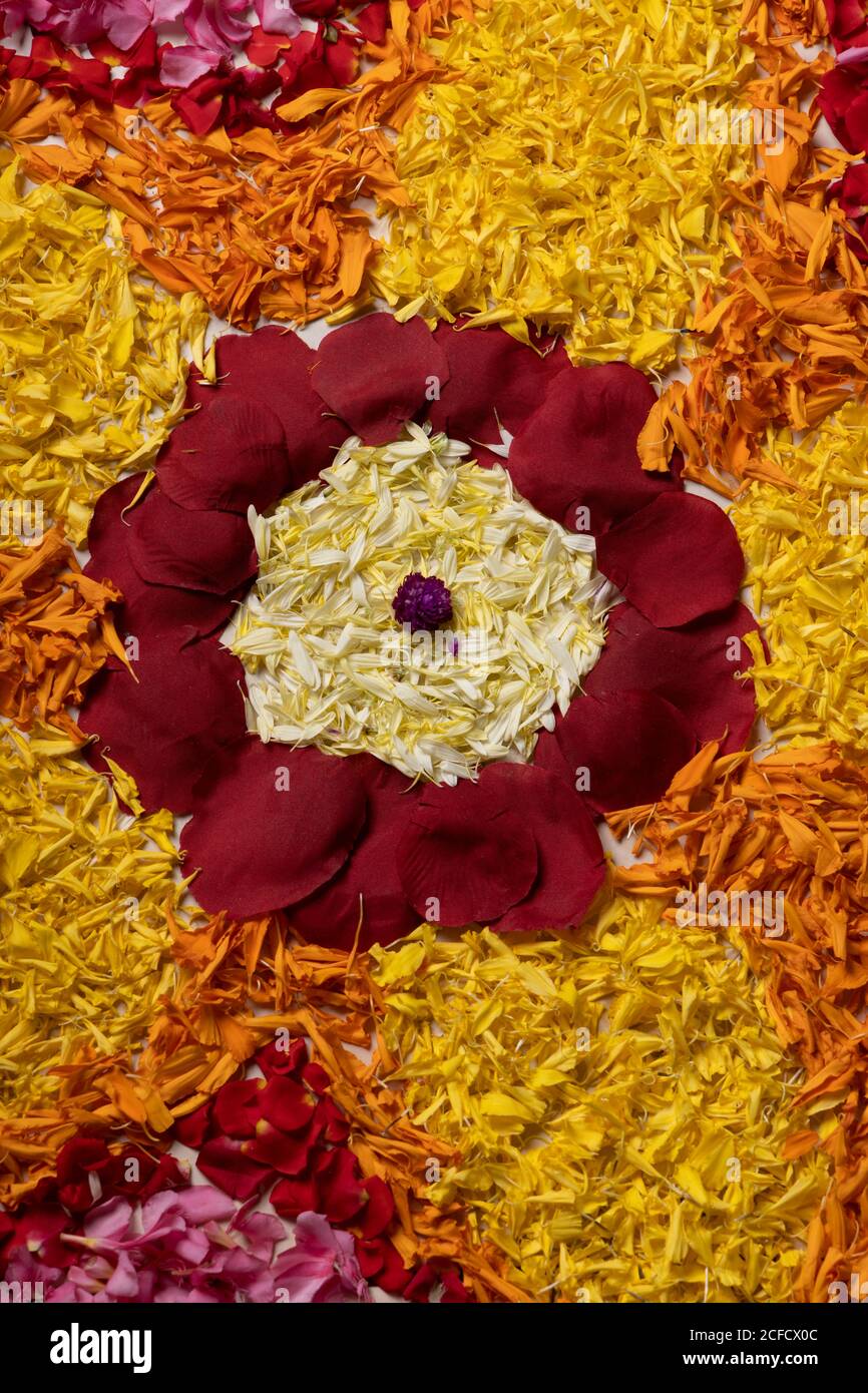 Frische Blume Dekoration, Kerala Onam Festival Hintergrund. Stock Foto Stockfoto