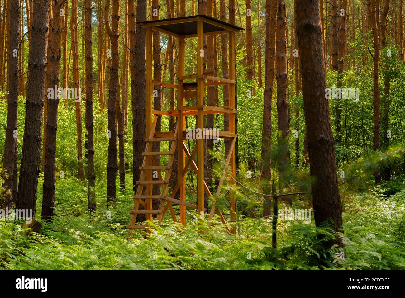 Jagdschloss im Wald Stockfoto