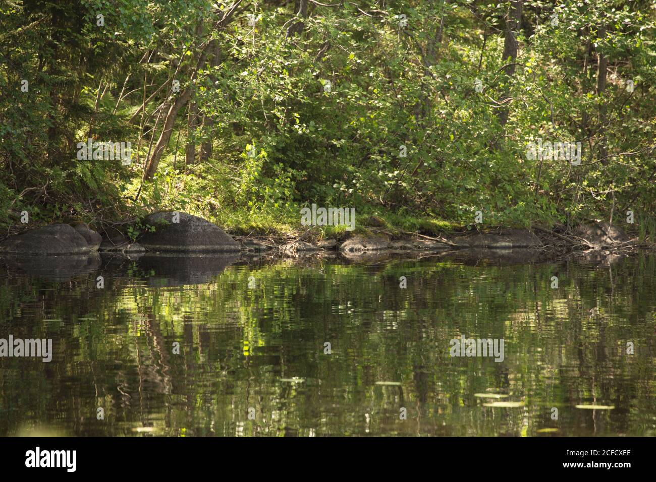 Sommer Grün Wald Reflexion auf See Oberfläche, Finnland Stockfoto