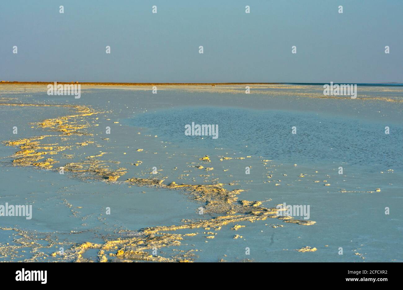 Kruste aus Steinsalz auf dem Assale Salt Lake, Lake Assale, 100m unter dem Meeresspiegel, Hamadela, Danakil Depression, Afar Triangle, Äthiopien Stockfoto