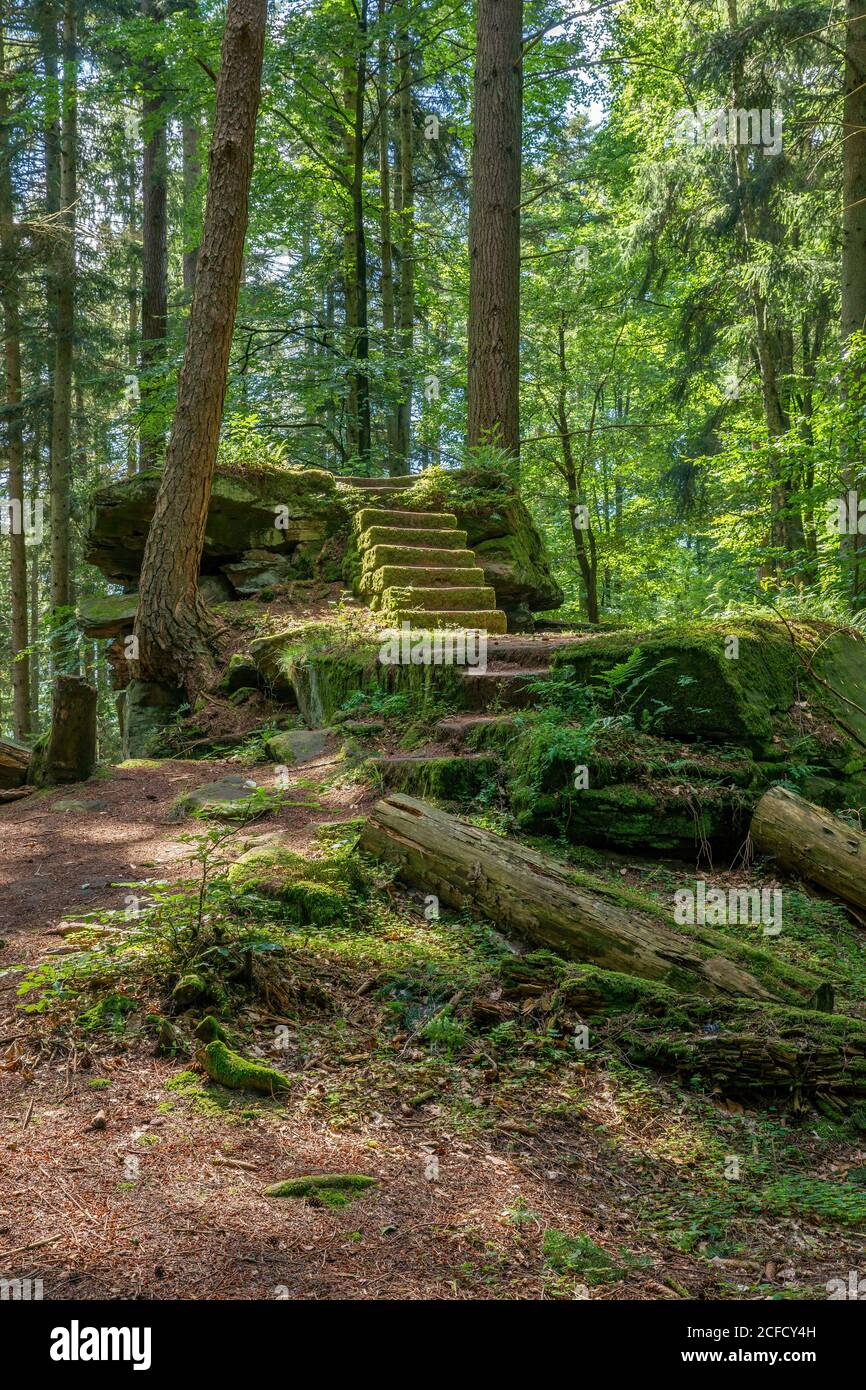 Deutschland, Baden-Württemberg, Neubulach - Kohlerstal, Steingruppe mit Treppen im Wald an der Ruine von Waldeck. Der beliebte Begriff bezieht sich auch auf die Stockfoto
