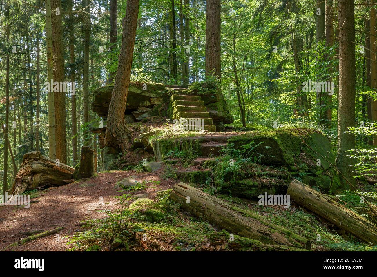Deutschland, Baden-Württemberg, Neubulach - Kohlerstal, Steingruppe mit Treppen im Wald an der Ruine von Waldeck. Der beliebte Begriff bezieht sich auch auf die Stockfoto