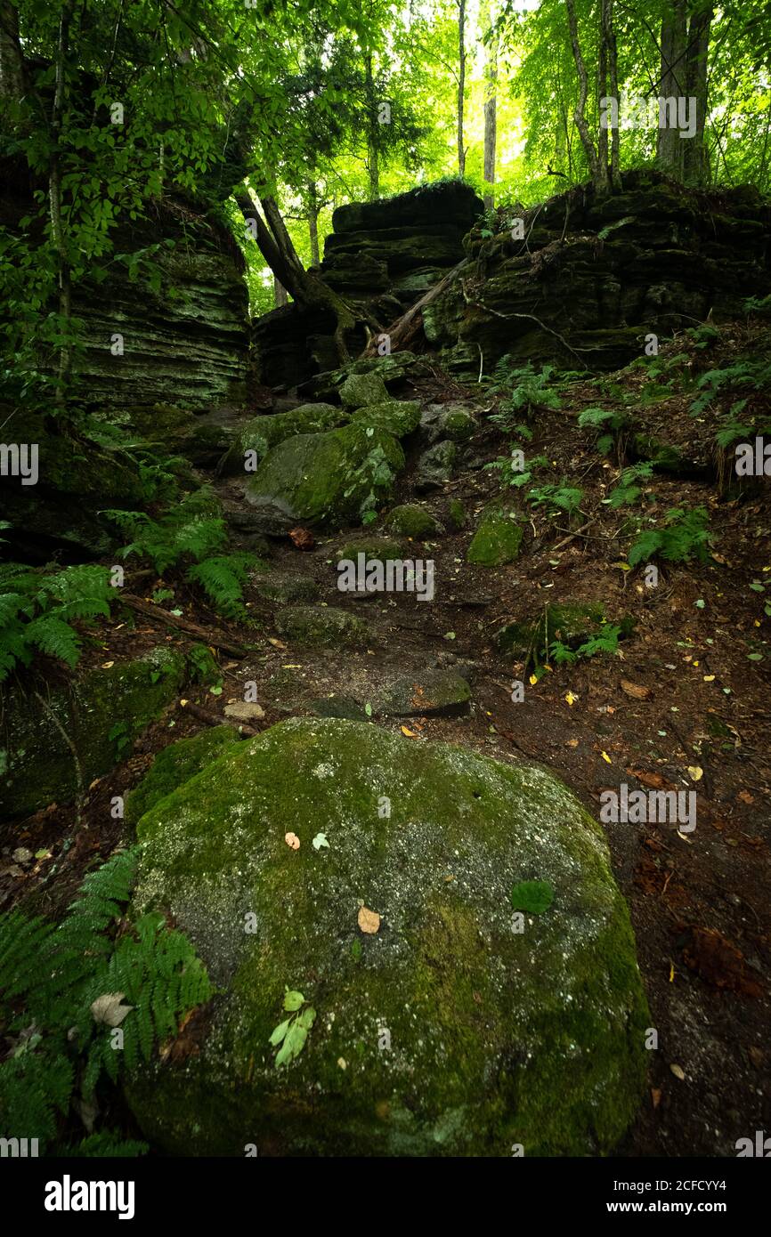 Panama Rocks Scenic Park, Chautauqua County, New York, USA - ein alter versteinerter Wald aus Quarzkonglomerat Stockfoto