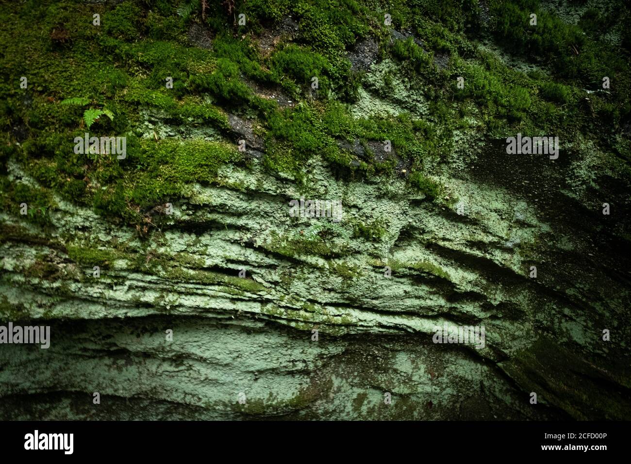 Panama Rocks Scenic Park, Chautauqua County, New York, USA - ein alter versteinerter Wald aus Quarzkonglomerat Stockfoto