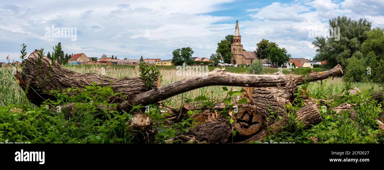 Deutschland, Sachsen-Anhalt, Magdeburg, Immanuelkirche, auch Prester-Kirche genannt, heute Restaurant am Elberadweg Stockfoto