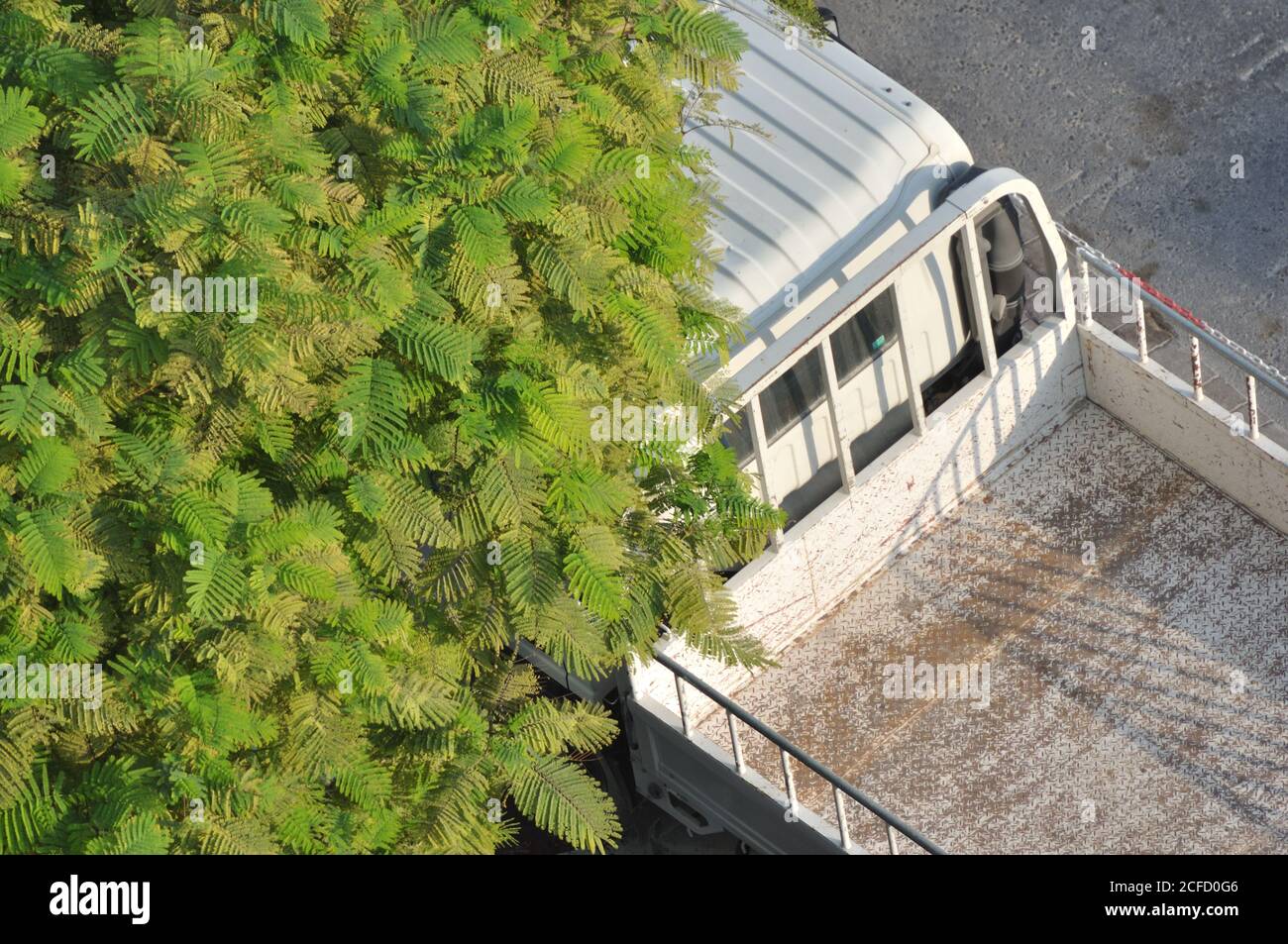 Städtischer Betonwald. LKW geparkt unter großen, grünen Baum. Stockfoto